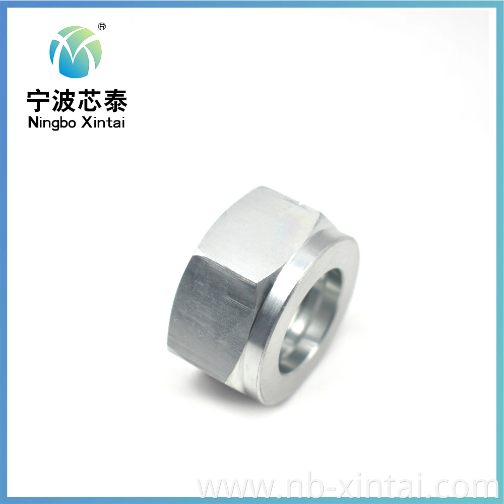 Galvanized Carbon Steel Hex Head Screw Nuts Hex Nuts From Ningbo Supply Thread Ferrule Nuts